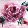 Light Watercolor Rose - Watercolors