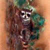 Raccoon - Pastel