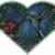  Broad-Billed Hummingbird