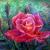 Pastel Rosa